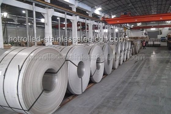 Boiler Heat Exchanger SS Stainless Steel Coil 405mm - 700mm Width