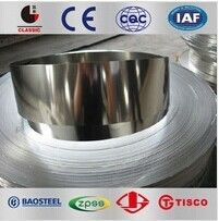 317,317L,321,321H, 329,347,347H Stainless Steel Strips for petroleum / food