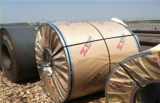hot rolled 304 / 304L stainless steel coils