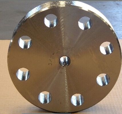 Casting , Forged Stainless Steel Flanges 304L 316L Black painting , 150# - 3000#