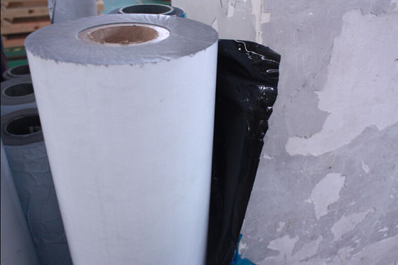 430 / 2B Cold Rolled Stainless Steel Coils With No.8 / 8k , No.4 Of 320 Grit 180 Grit , HL With Laser PE