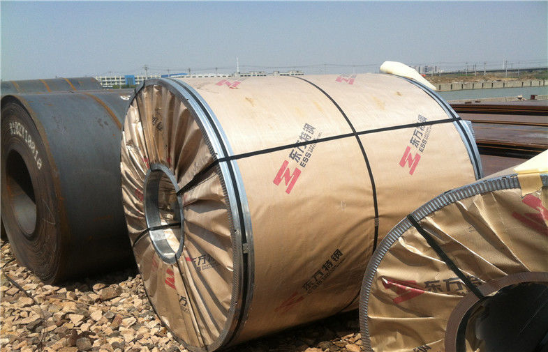 hot rolled 304 / 304L stainless steel coils