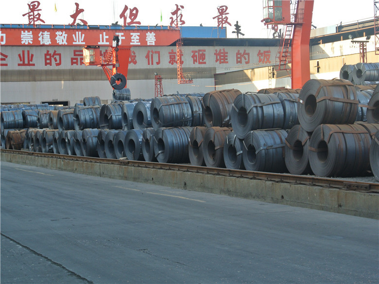 SAE1006 / SAE1008 / A36 HRC Hot Rolled Steel Strips / ASTM Hot Rolling Steel Coil 5 - 20mm Thickness