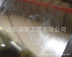 Regular Spangle HDG Cold Rolled Galvanised Steel Coil for automobile , container