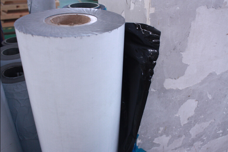 430 / 2B Cold Rolled Stainless Steel Coils With No.8 / 8k , No.4 Of 320 Grit 180 Grit , HL With Laser PE